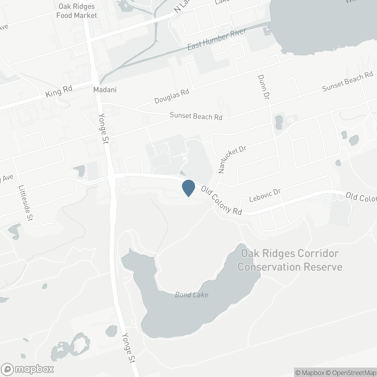 101 OLD COLONY ROAD, Richmond Hill, Ontario L4E 3X2